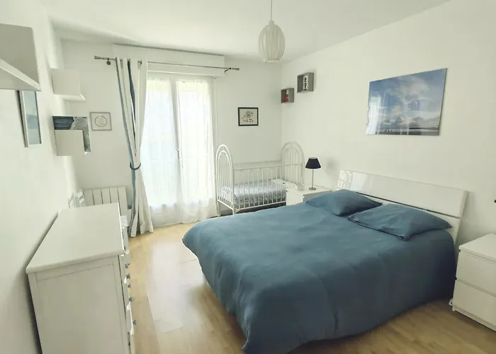 Appartement 3 Pieces Coeur Ville